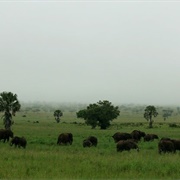 Kidepo Game Reserve, South Sudan