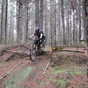 Woodhill Bike Tracks