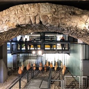 Ponte Romano Spazio Aemilia, Parma