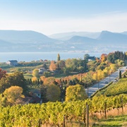 Naramata, BC, Canada