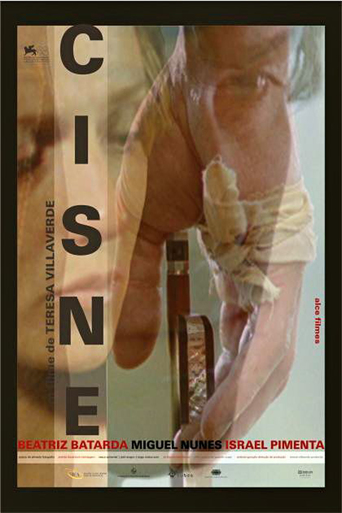O Cisne (2011)