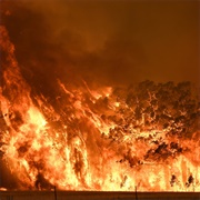 Australian Bushfires