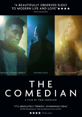 The Comedian (2013)