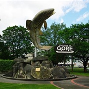 Gore, New Zealand