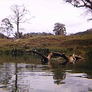 Tubing on the Mopan River, Belize