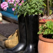 Home Recycling Ideas