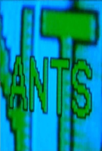 Ants (2006)