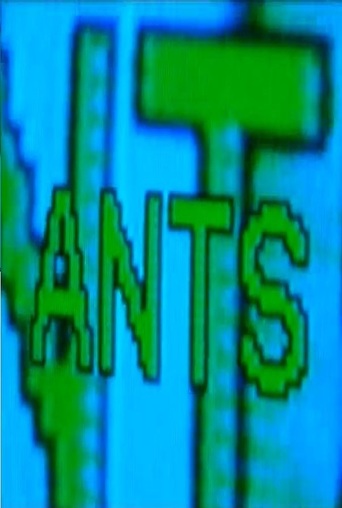 Ants (2006)