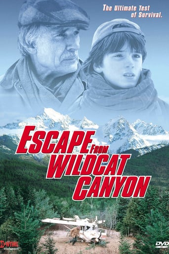 Escape From Wildcat Canyon (1998)
