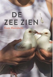 De Zee Zien (Koos Meinderts)