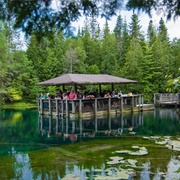 Palms Book State Park