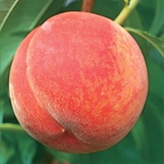 Flaming Fury Peach