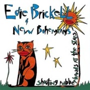 What I Am - Edie Brickell & the New Bohemians
