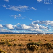 Plains of San Agustin NM