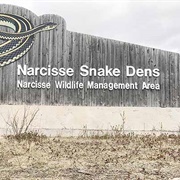 Snakes on a Plain (MB)