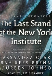 The Land Stand of the New York Institute (Cassandra Clare)