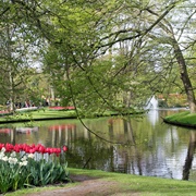 Keukenhof Gardens