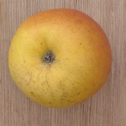 Delblush Apple