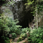 Cueva Del Guacharo National Park, Venezuela