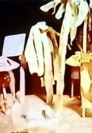 Natural Disasters (Fitzgibbon) (1977)