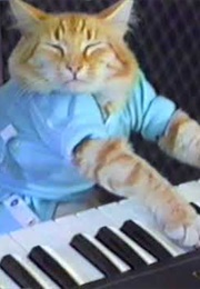 Keyboard Cat (2007)
