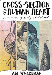 Cross-Section of a Human Heart (Abi Wurdeman)
