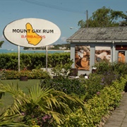 Go on a Rum Tour in the Caribbean