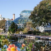 Brooklyn Botanic Garden