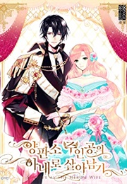 Survive as the Hero's Wife (Nokki)