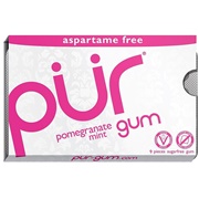 Pur Pomegranate Mint Gum