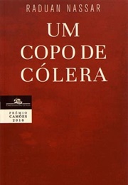 Um Copo De Cólera (Raduan Nassar)