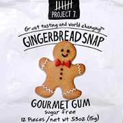 Project 7 Gourmet Gum Gingerbread Snap