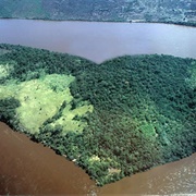 Heart Shaped Island, Orinoco River, Venezuela