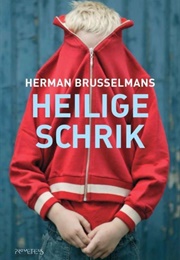Heilige Schrik (Herman Brusselmans)