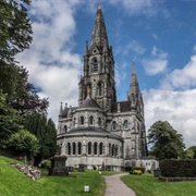 Cork: St. Fin Barre's Cathedral