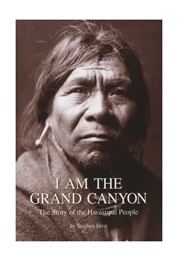 I Am the Grand Canyon (Hirst)