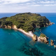 Tarahiki/ Shag Island