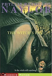 The Witch&#39;s Eye (Phyllis Reynolds Naylor)