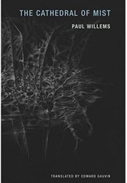 The Cathedral of Mist (Paul Willems)