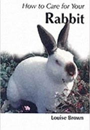 How to Care for Your Rabbit (Louise Brown)
