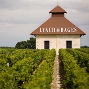 Chateau Lynch Bages