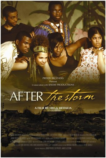 After the Storm (2009)