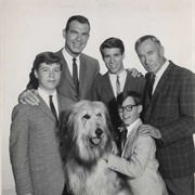 Tramp the Dog-My Three Sons