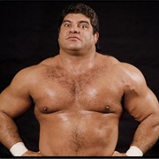 Magnificent Don Muraco