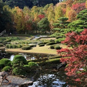 East Imperial Gardens, Tokyo