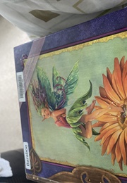 A Practical Guide to Faeries (Susan Morris)