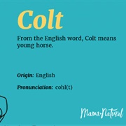 Colt