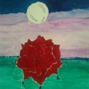 Floating Flower Meagan Scribner