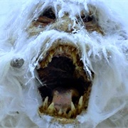 Unidentified Wampa