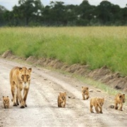 Bandingilo National Park